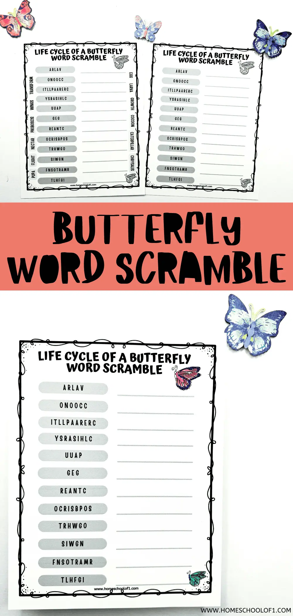 A worksheet titled 'Life Cycle of a Butterfly Word Scramble' with scrambled words to unscramble and blank lines for answers. Decorated with butterfly illustrations