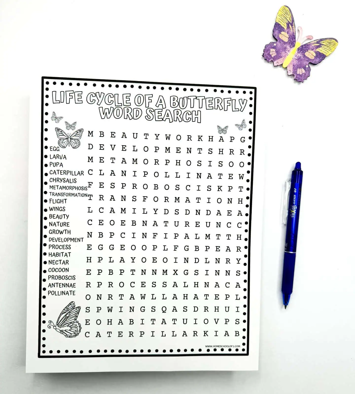 A monochrome 'Life Cycle of a Butterfly Word Search' worksheet, with thematic words listed to be found in the grid, accompanied by a blue pen and colorful butterfly cutouts.