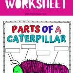 Educational worksheet detailing the anatomy of a caterpillar with labeled parts such as 'Head', 'Thorax', and 'Abdomen', and blank labels for students to fill in, highlighted in vibrant colors.