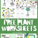 free plant worksheets collage on a green background, showing 8 different free plant worksheets for kids