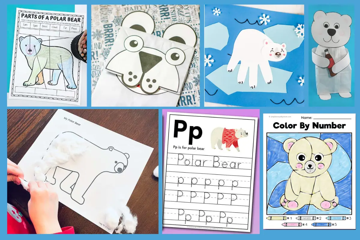 Educational resource collage showcasing various polar bear themed activities for kids, including a coloring worksheet labeled 'Parts of a Polar Bear', a cotton ball gluing craft, a polar bear alphabet writing practice, and a colorful color by number worksheet with a cartoon polar bear.