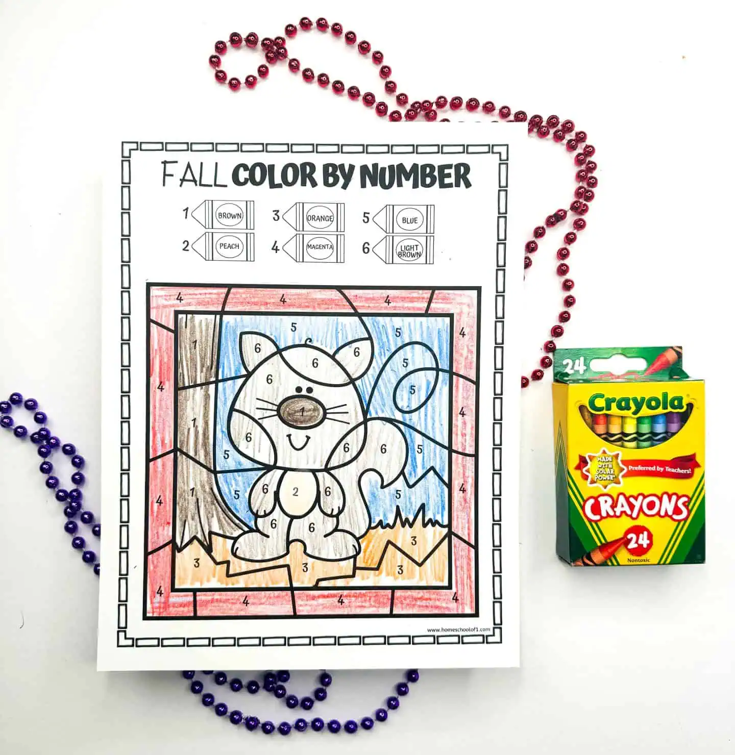 A 'Fall Color by Number' worksheet with a cheerful squirrel surrounded by autumn leaves, alongside red bead necklaces and a Crayola crayons box.