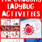 The Grouchy Ladybug' activities, featuring visuals of various learning cards and crafts, with bold red text stating 'The Grouchy Ladybug Activities'