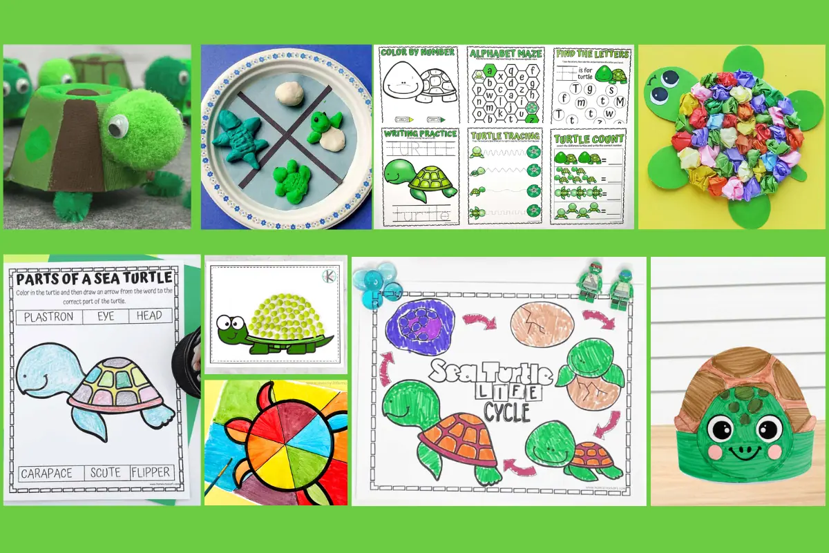 Collage of turtle-themed crafts and educational activities for preschoolers, including a tic-tac-toe game with clay turtles, a colorful turtle shell made from crumpled paper, and various learning worksheets on turtle anatomy and life cycle