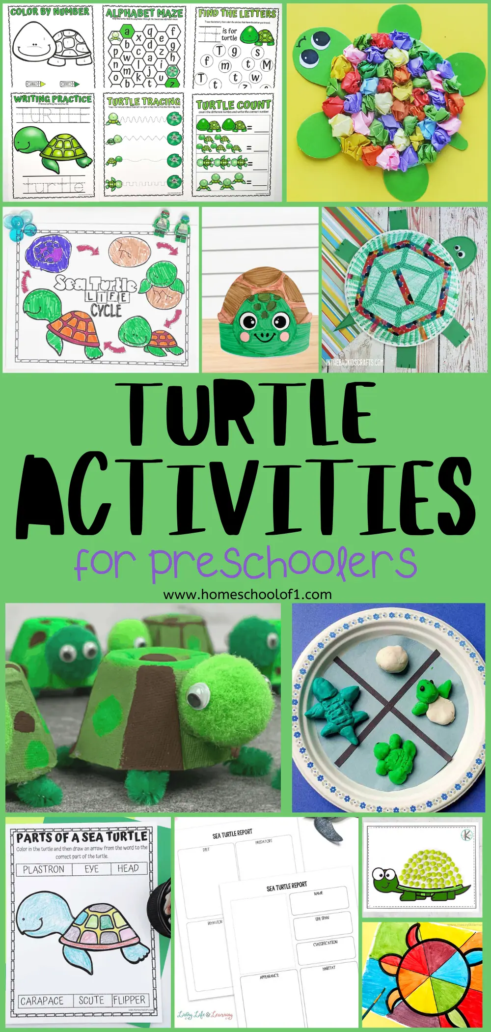 infographic displaying an assortment of preschool turtle activities, with highlights on hands-on crafts, such as a turtle made from a paper bowl, and educational printables for coloring, tracing, and learning about sea turtles' life stages.