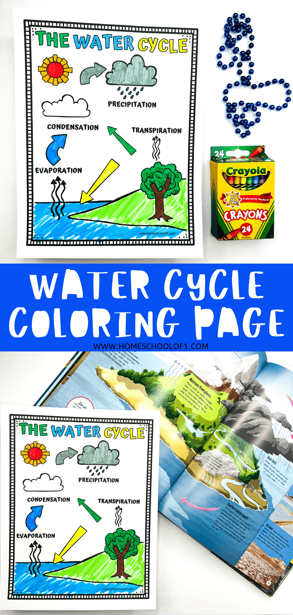 Water Cycle Coloring Page Free Printable