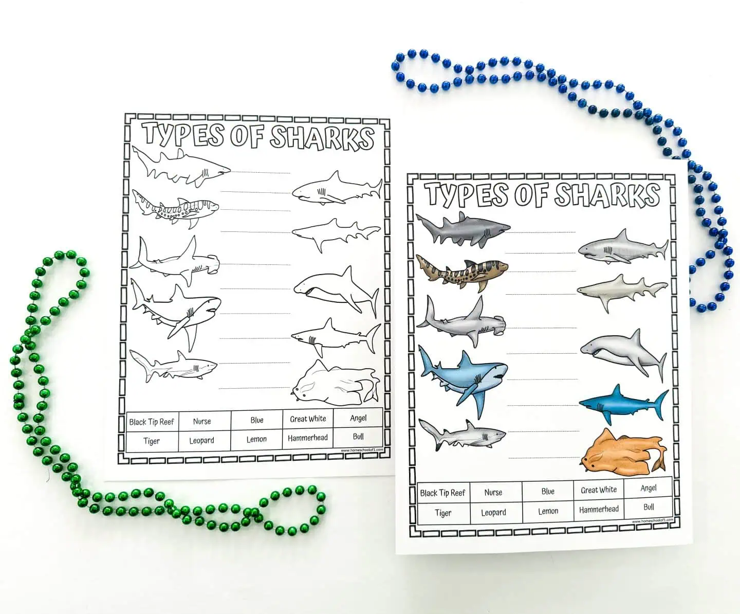 Shark labeling worksheet with color images of different sharks to be identified and labeled, such as Black Tip Reef, Nurse, Blue, Great White, Angel, Tiger, Leopard, Lemon, Hammerhead, and Bull sharks.