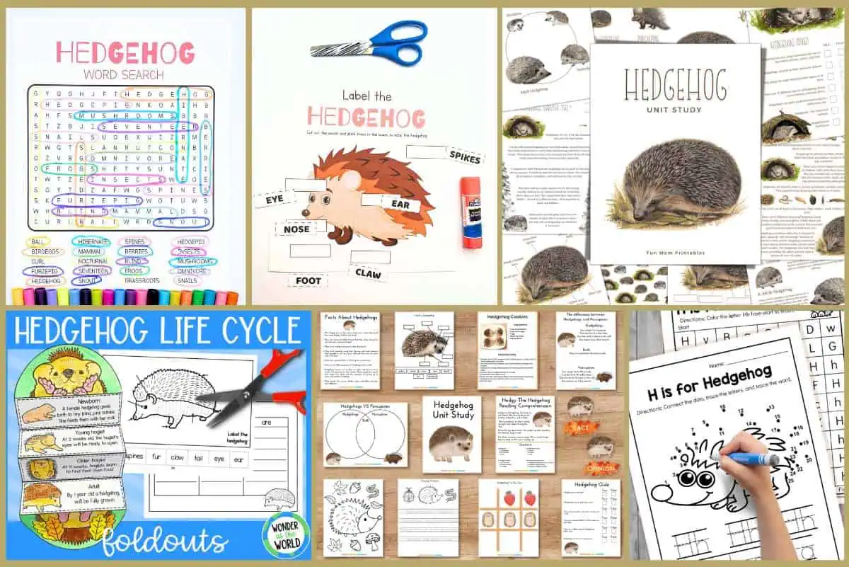 11 Hedgehog Worksheets For Learning Fun!