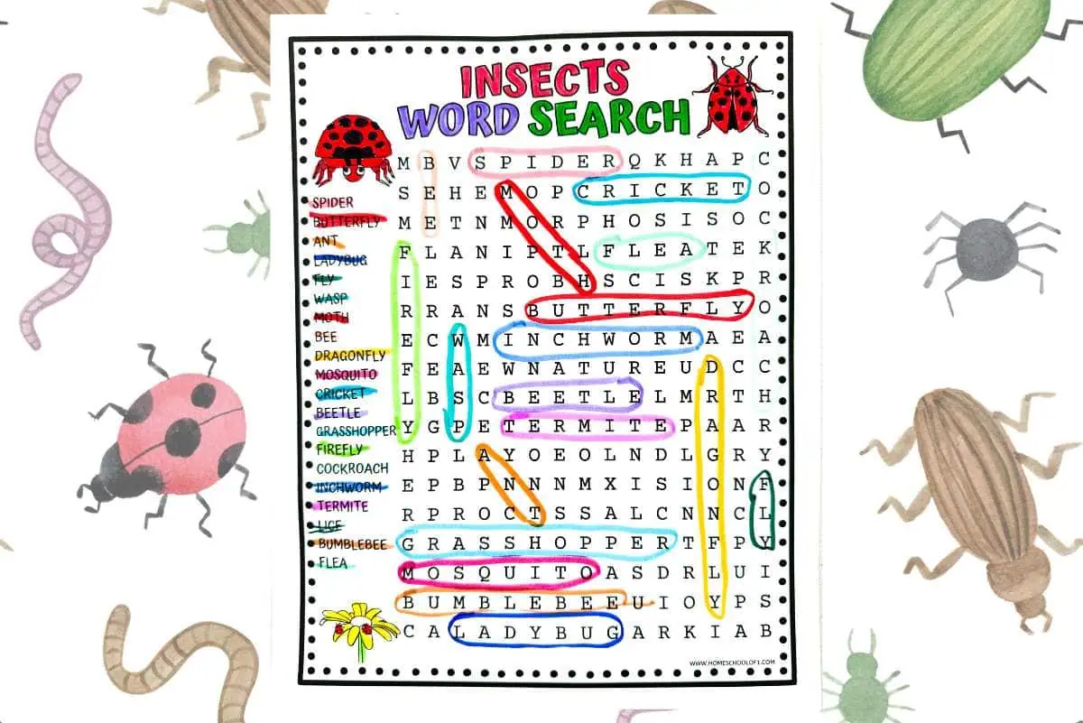 Insects word search puzzle with words like spider, butterfly, ant, ladybug, fly, wasp, moth, bee, dragonfly, mosquito, cricket, beetle, grasshopper, firefly, cockroach, inchworm, termite, lice, bumblebee, and flea highlighted. The background features illustrations of various insects