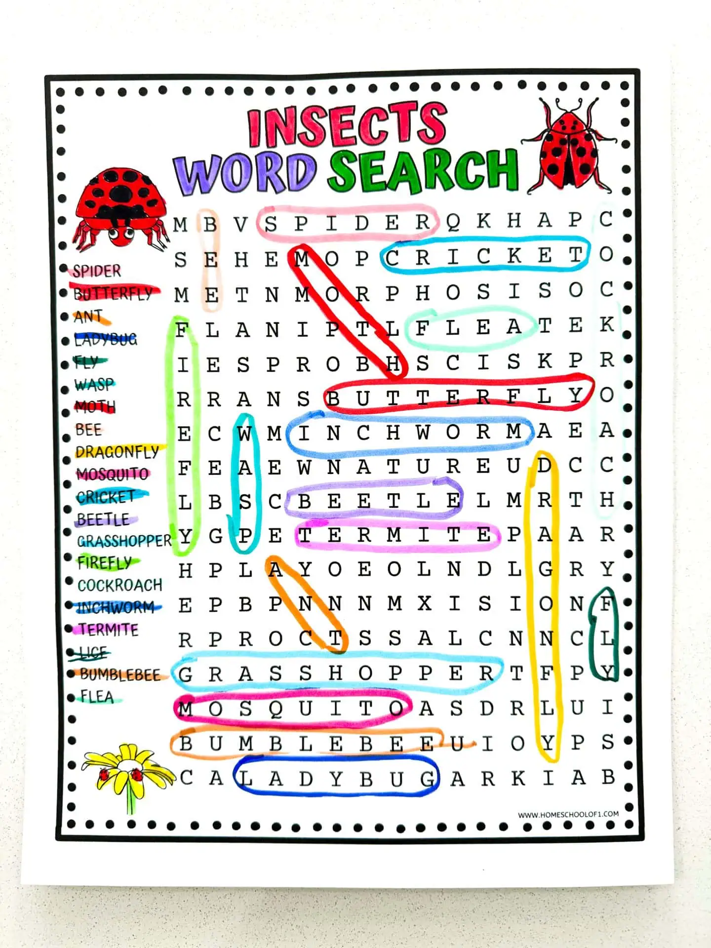 Close-up of an insect-themed word search puzzle with words like spider, butterfly, ant, ladybug, fly, wasp, moth, bee, dragonfly, mosquito, cricket, beetle, grasshopper, firefly, cockroach, inchworm, termite, lice, bumblebee, and flea highlighted. The background features illustrations of various insects.