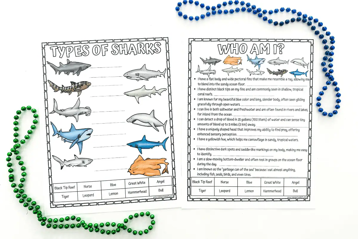 Types of Sharks worksheets featuring color illustrations of different shark species to be identified and labeled, such as Black Tip Reef, Nurse, Blue, Great White, Angel, Tiger, Leopard, Lemon, Hammerhead, and Bull sharks.