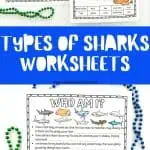 Types of Sharks worksheets showing illustrations of various shark species with spaces for labeling, including Black Tip Reef, Nurse, Blue, Great White, Angel, Tiger, Leopard, Lemon, Hammerhead, and Bull sharks.