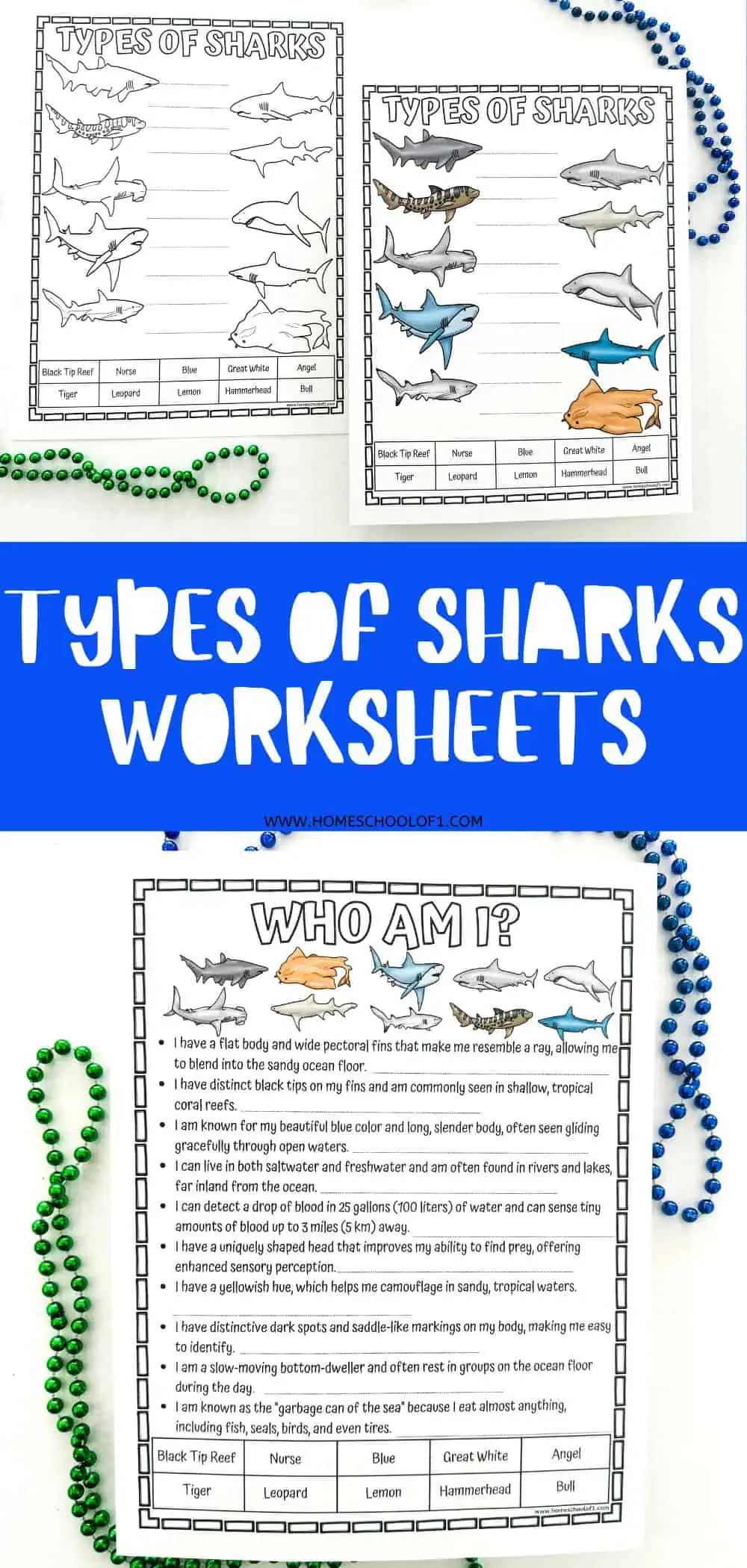 Types of Sharks worksheets showing illustrations of various shark species with spaces for labeling, including Black Tip Reef, Nurse, Blue, Great White, Angel, Tiger, Leopard, Lemon, Hammerhead, and Bull sharks.