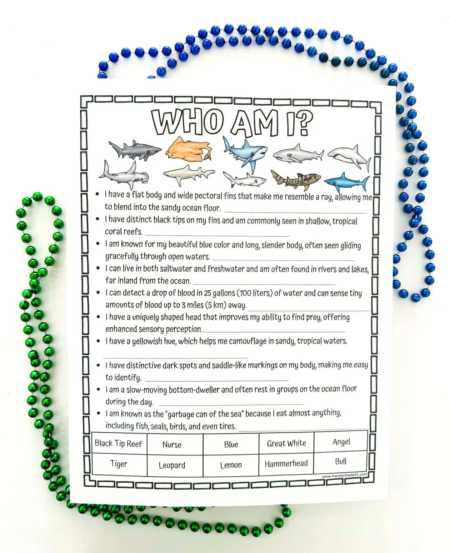 Worksheet titled 'Who Am I?' featuring clues about different shark species to be matched with their names and illustrations, including sharks like the Great White, Hammerhead, Blue, Nurse, Tiger, and others.