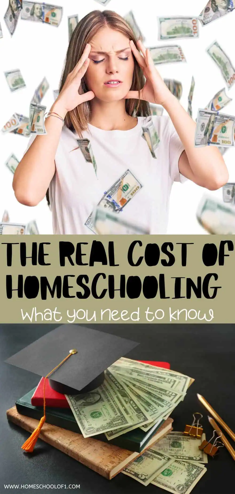 real cost of homeschooling