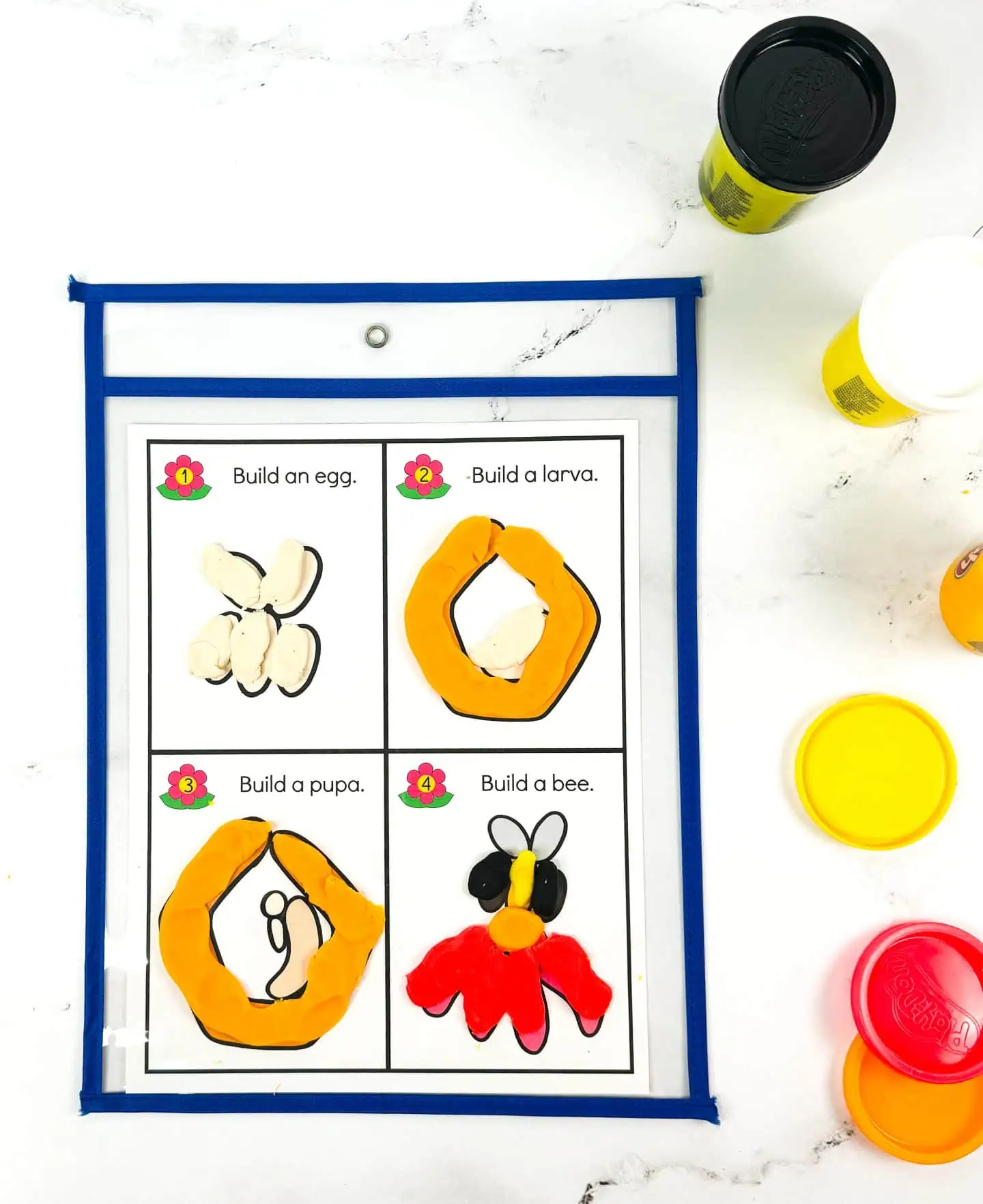 bee life cycle playdough mat