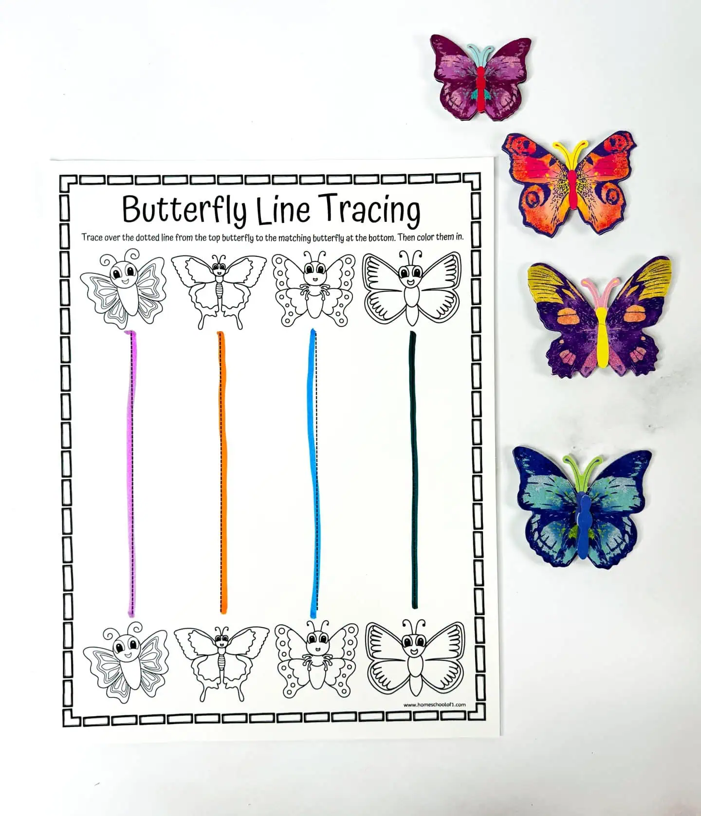 butterfly line tracing