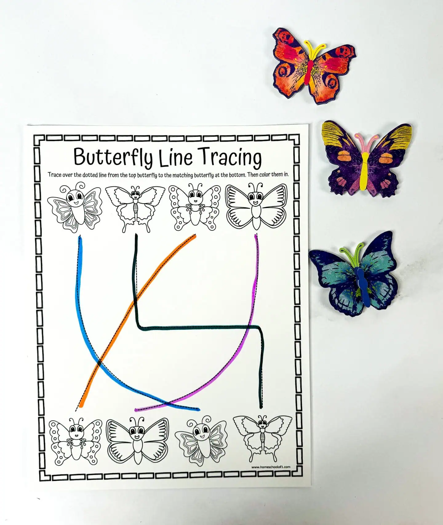 butterfly worksheet for preschool