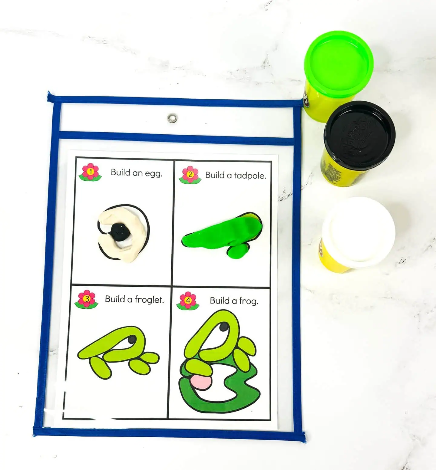 frog life cycle playdough mat