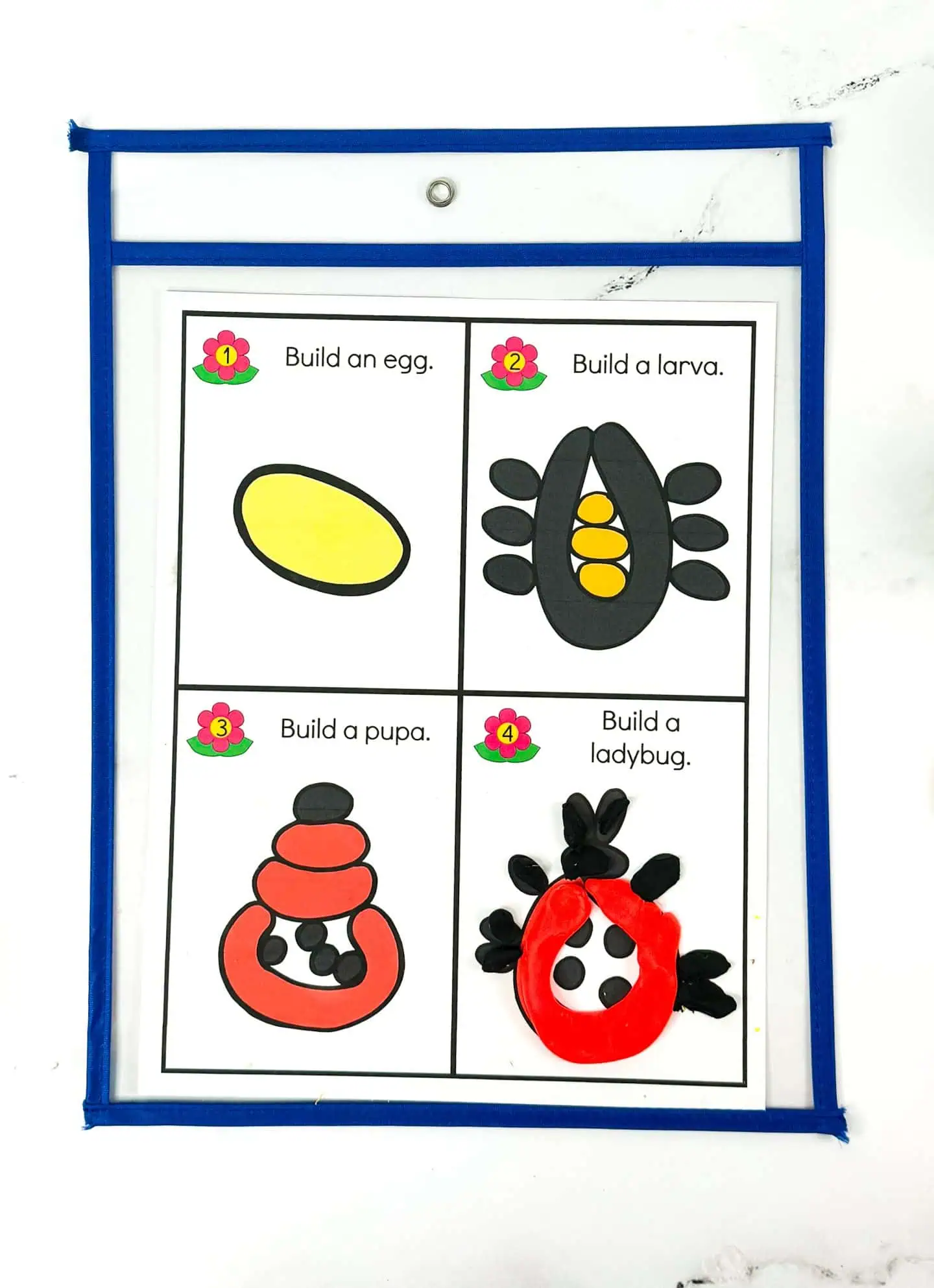 ladybug life cycle playdough mat