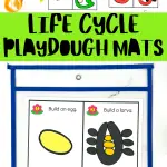 life cycle play doh mats