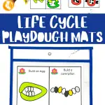 life cycle playdough mats