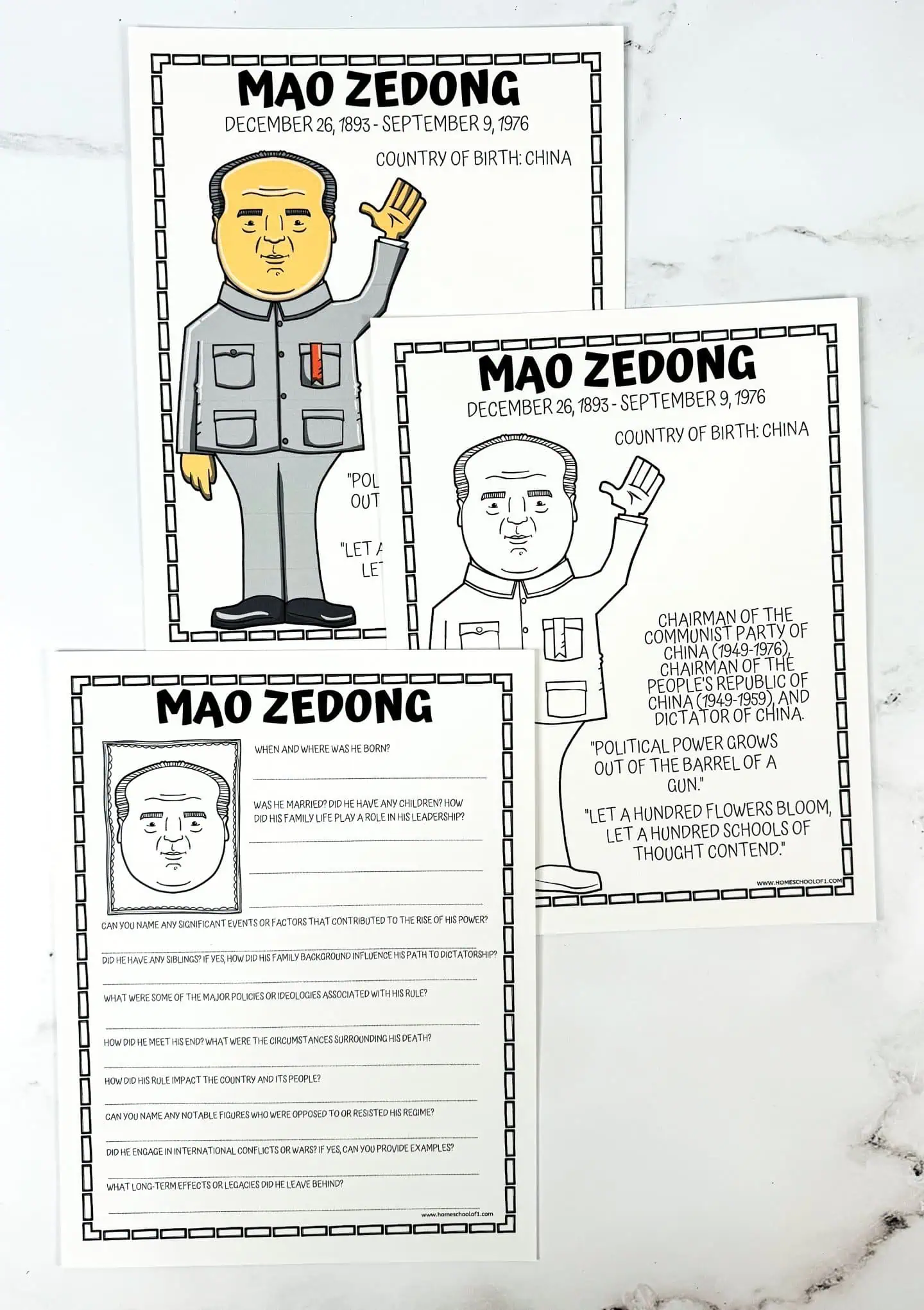 mao zedong unit study