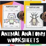 animal anatomy worksheets