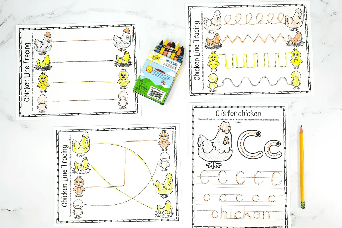 chicken tracing printable