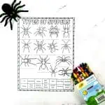 different types of spiders worksheet