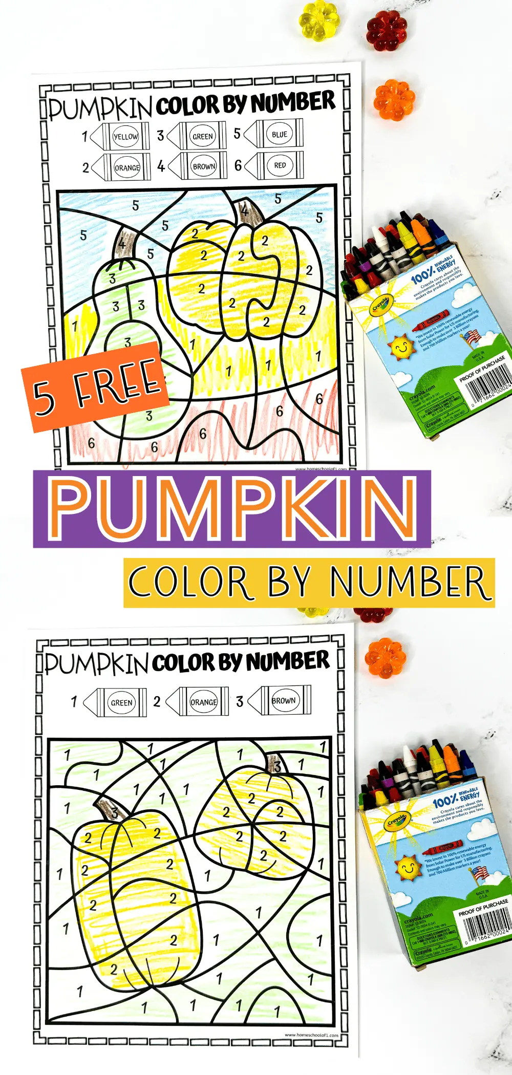 free pumpkin color by number