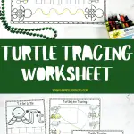 free turtle tracing worksheet