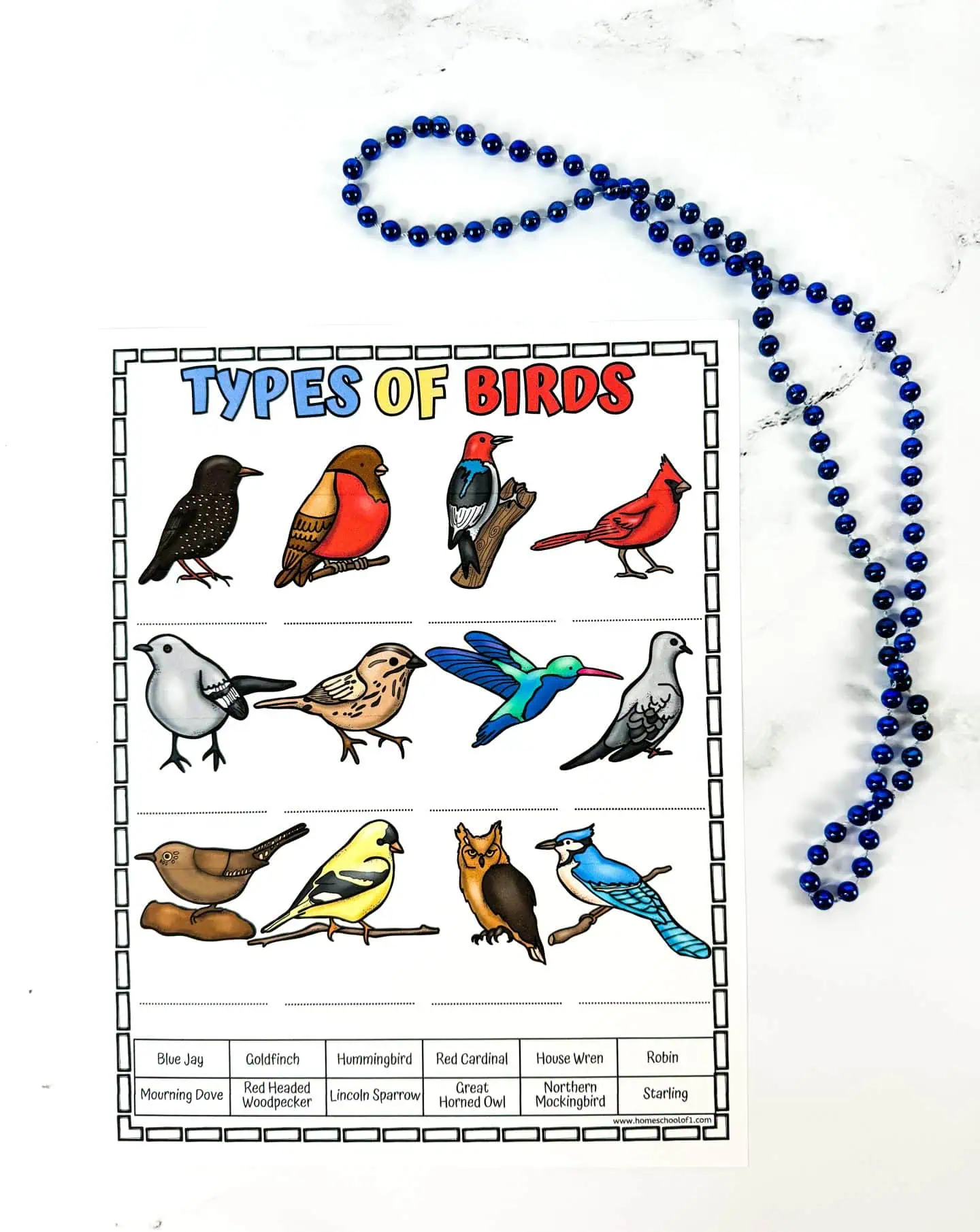 free types of birds printable