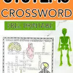 human body systems crossword