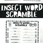 insect word scramble