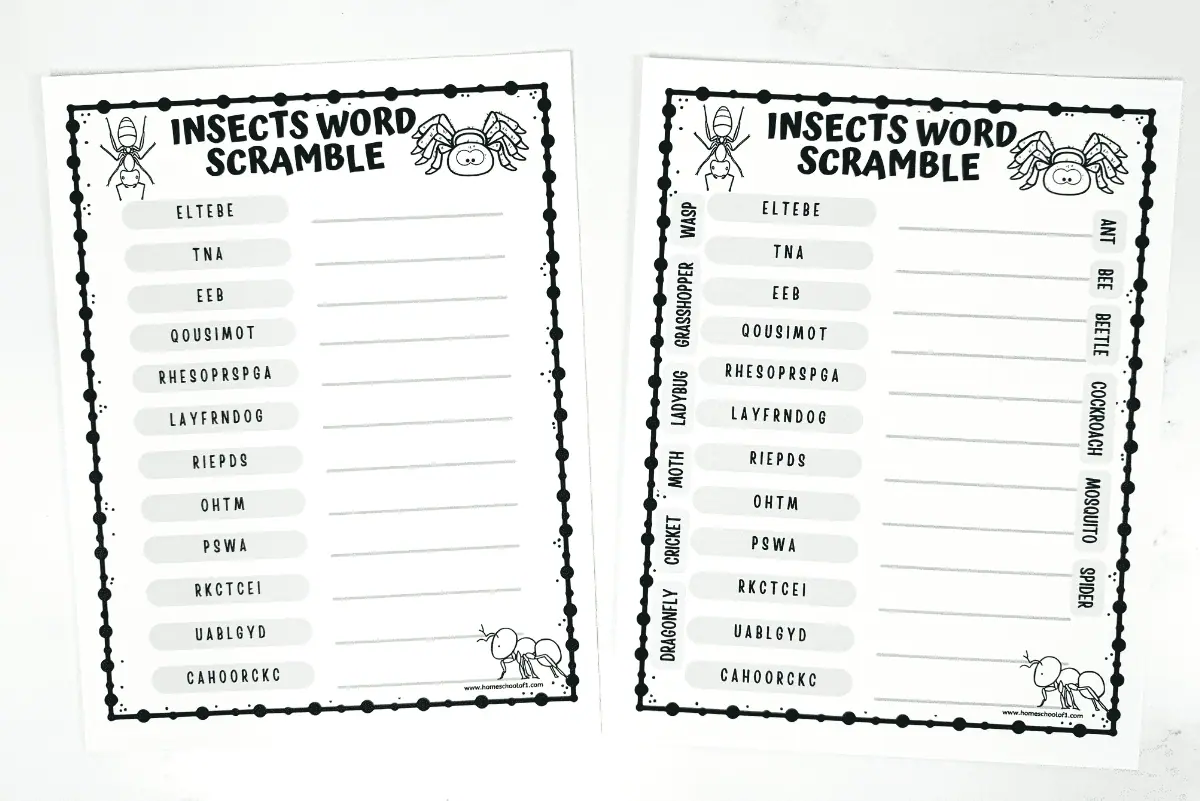 insect word scramble printable