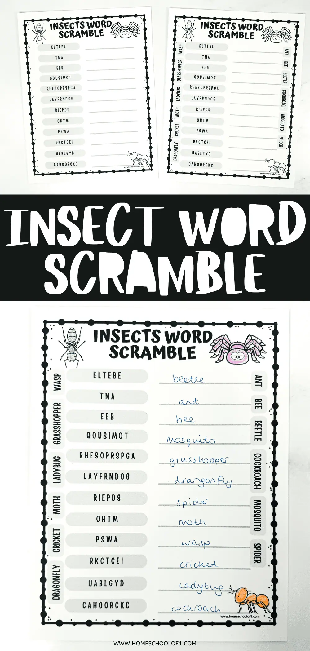 insect word scramble