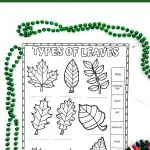 leaf worksheet