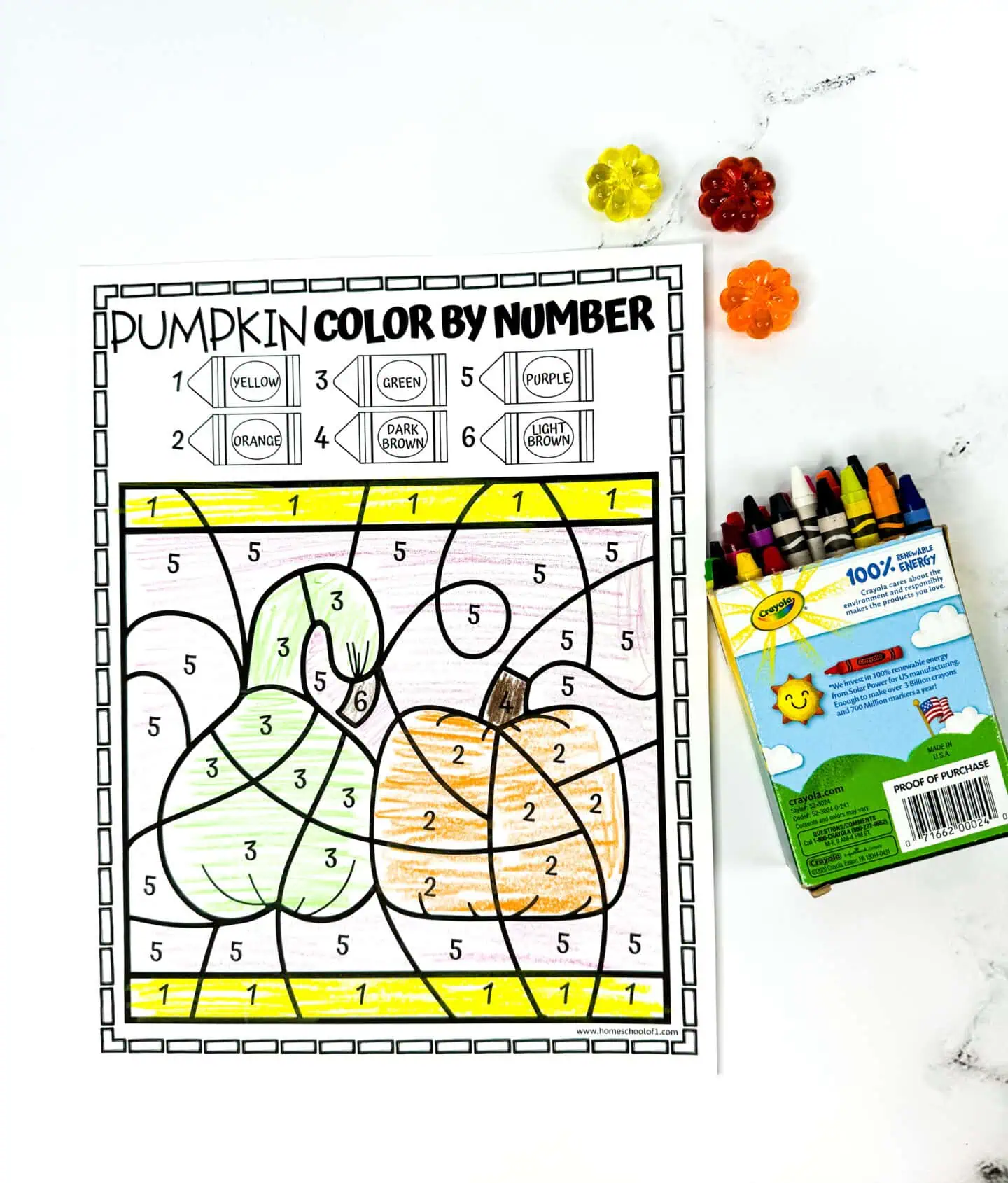 pumpkin and gourd color by number