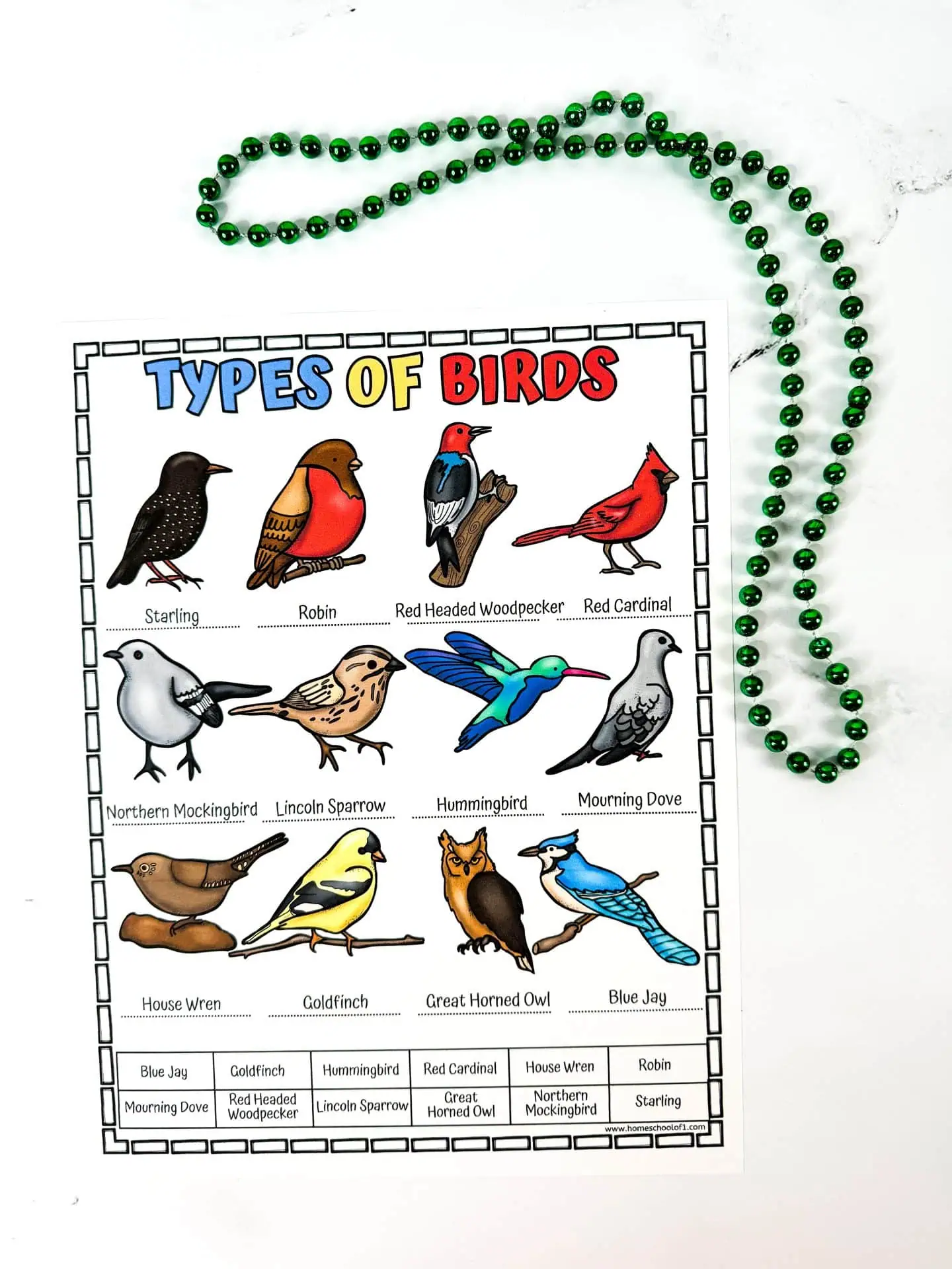 types of birds poster