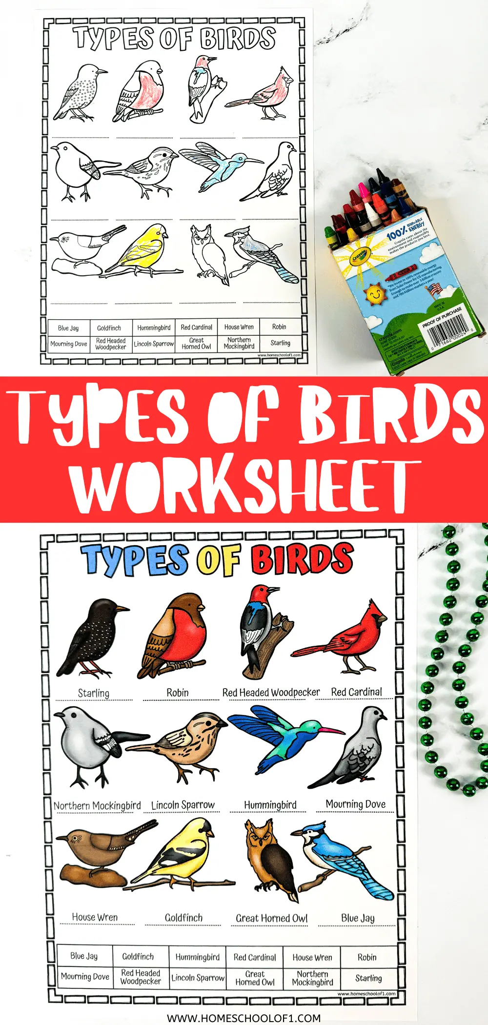 types of birds printable