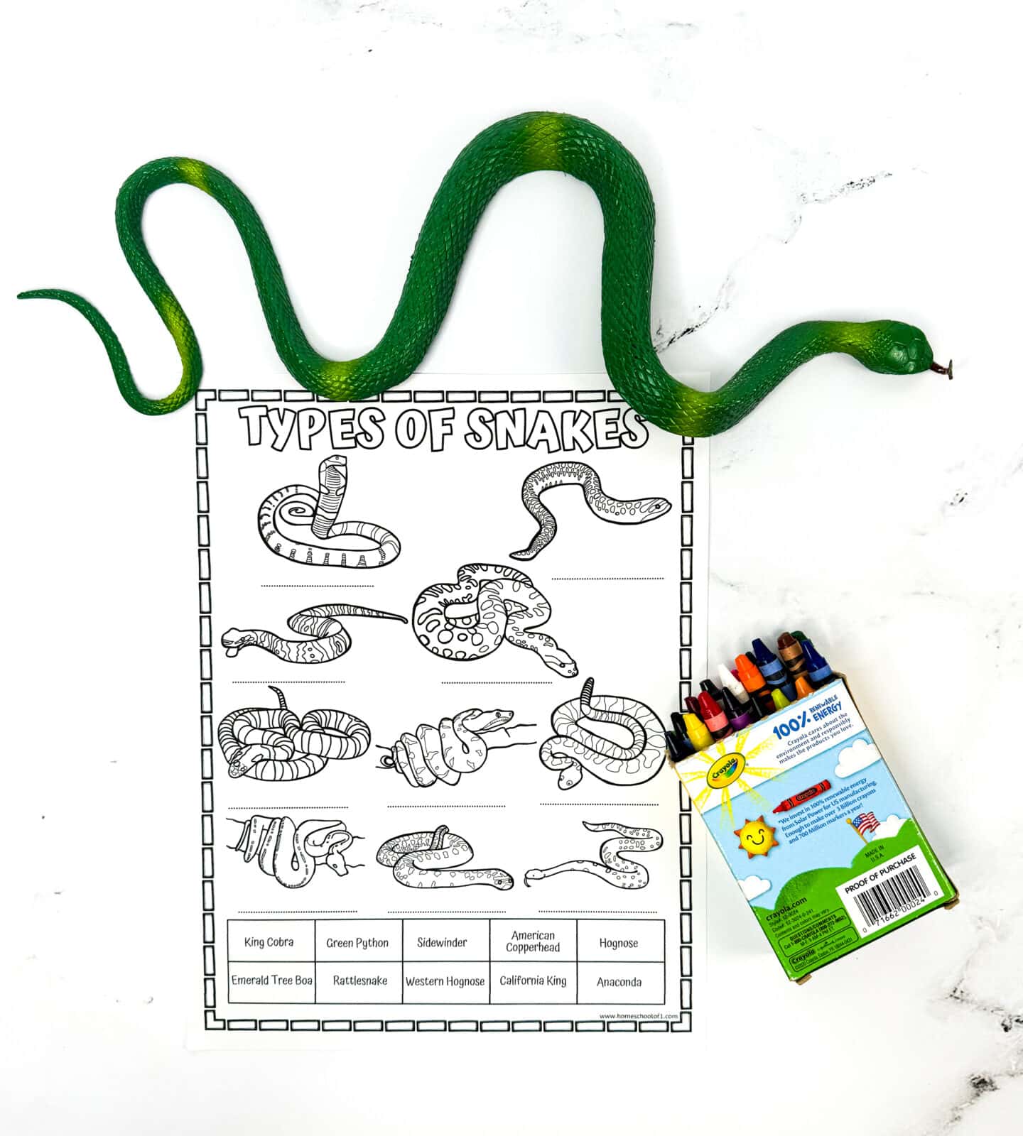 types of snake printable