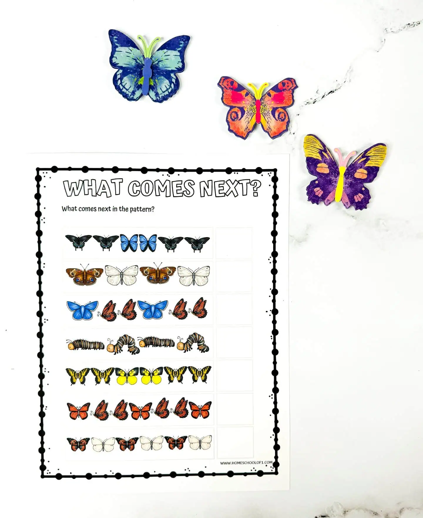 what comes next butterfly worksheet