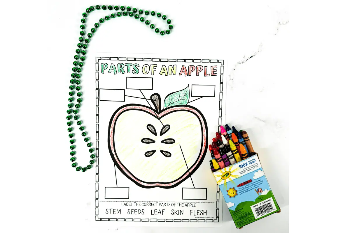 parts of an apple coloring page