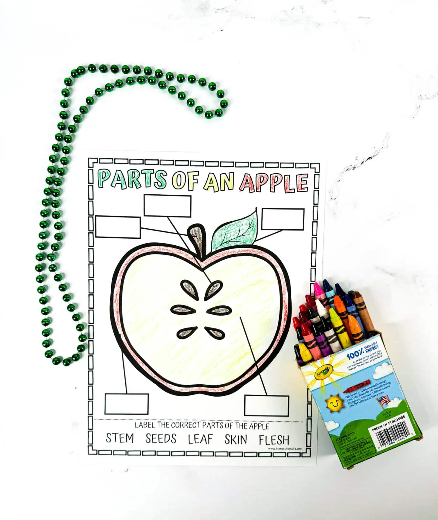 parts of an apple worksheet