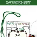 parts of an apple worksheet