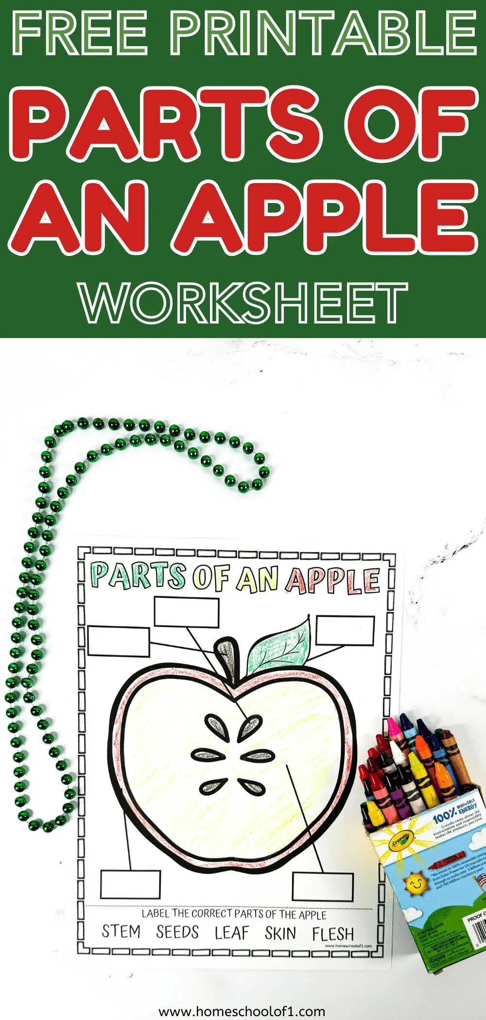 parts of an apple worksheet