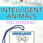 intelligent animals worksheet