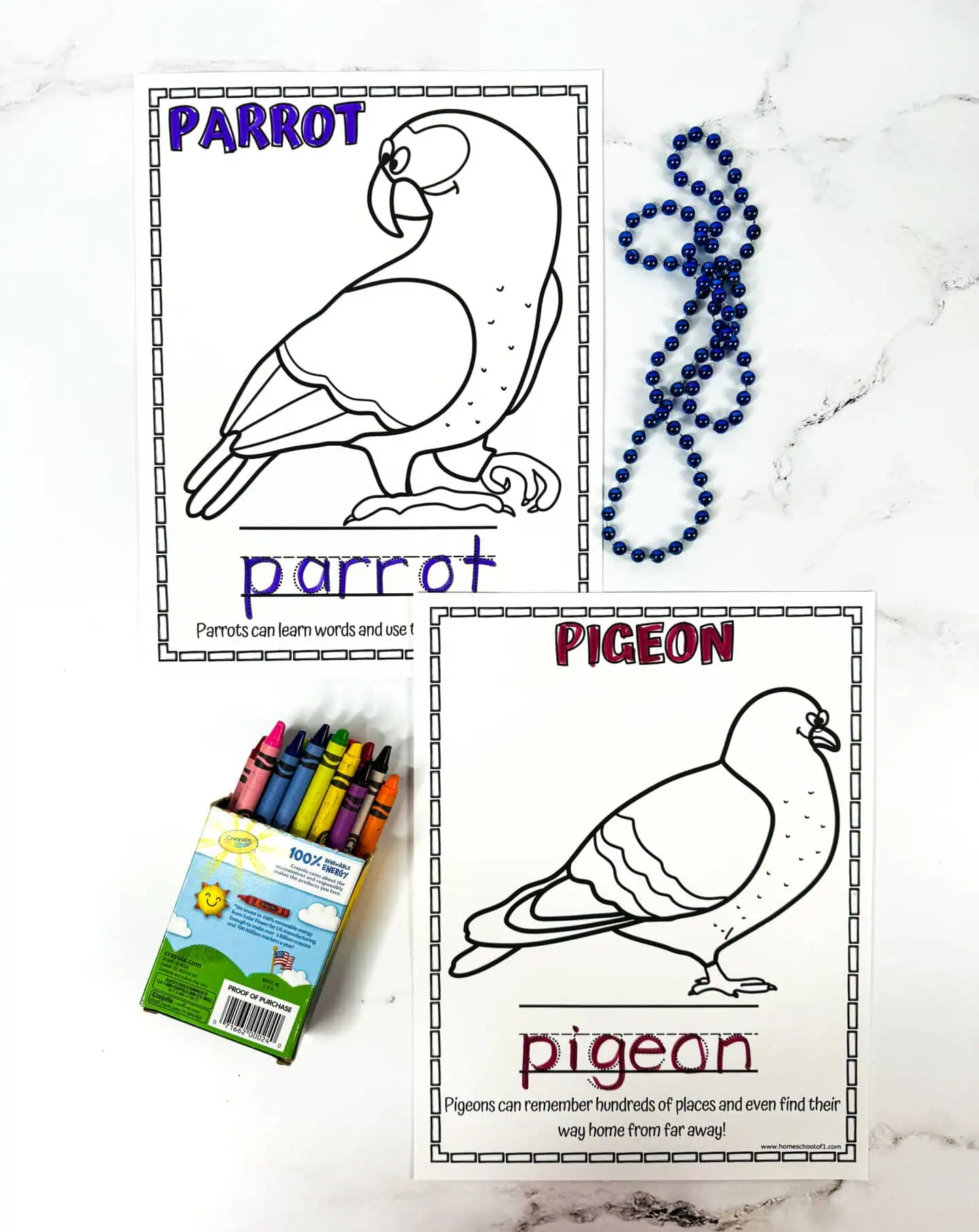 intelligent birds worksheets