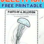 parts of a jellyfish worksheet